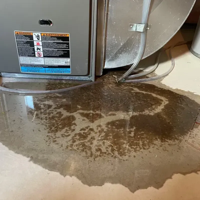 Appliance Leak Cleanup in Duval County, FL